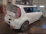 Miniaturka zdjęcia 4