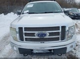 Ford F-150 Fx4/Harley-Davidson/King Ranch/Lariat/Platinum/Xl/Xlt 1FTFW1EV5AKA16283 fotografie