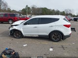 Hyundai Santa Fe Sport 2.4L 5XYZT3LB8EG144815 снимка