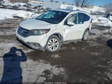 Honda Cr-V Ex-L 5J6RM4H72EL031884 снимка