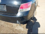 Honda Accord 2.4 Lx JHMCP26329C006253 снимка