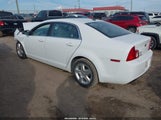 Chevrolet Malibu Ls 1G1ZB5E1XBF201946 снимка