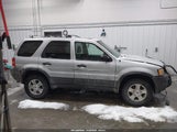 Ford Escape Xlt 1FMCU04162KA28764 снимка