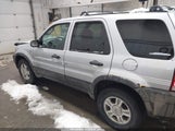 Ford Escape Xlt 1FMCU04162KA28764 fotografie