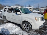 Honda Pilot Ex-L 5FNYF4H53DB016256 снимка