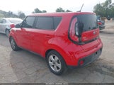 Miniaturka zdjęcia 3