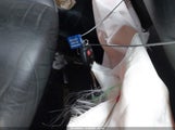Toyota Camry Xle 4T1BF1FK9HU326952 photo