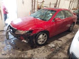Acura Tsx JH4CL96974C030016 снимка