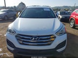 Miniaturka zdjęcia 6