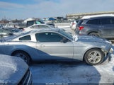 Ford Mustang V6/V6 Premium 1ZVBP8AN1A5131341 fotografie