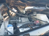 Ford F-350 King Ranch 1FT8W3DT1LEE96960 photo