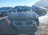 Honda Accord 3.5 Ex-L 5KBCP3F87AB003098 снимка