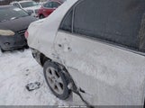 Miniaturka zdjęcia 6
