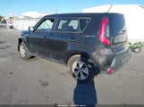 Miniaturka zdjęcia 3