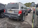 Ford Escape Xlt 1FMCU0D77AKA42014 fotografie