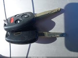 Miniaturka zdjęcia 11