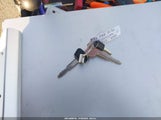 Miniaturka zdjęcia 11