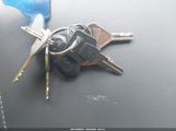 Miniaturka zdjęcia 11