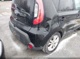 Miniaturka zdjęcia 6