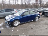 Miniaturka zdjęcia 2