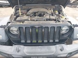 Jeep Wrangler Unlimited Willys 4X4 1C4HJXDG2LW332412 fotografie