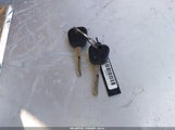 Miniaturka zdjęcia 11