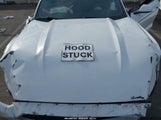 Ford Mustang Ecoboost 1FA6P8TH2G5209362 снимка