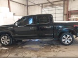 Ford F-150 Platinum 1FTEW1EG1GFA20460 снимка