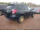 Toyota Rav4 JTMZF35V895012974 снимка