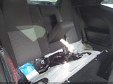 Miniaturka zdjęcia 8
