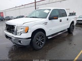 Ford F-150 Xlt 1FTFW1ET7DFB81893 снимка