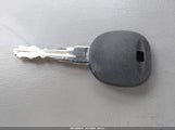 Miniaturka zdjęcia 11