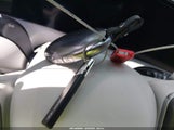 Hyundai Palisade Calligraphy KM8RM5S29TU041257 снимка