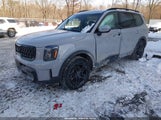 Kia Telluride Sx Prestige X-Line 5XYP5DGC6SG578107 photo