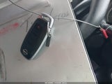 Miniaturka zdjęcia 11