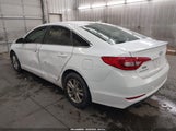 Hyundai Sonata Se 5NPE24AF6GH289425 снимка