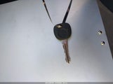 Miniaturka zdjęcia 11