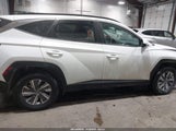 Hyundai Tucson Hybrid Blue KM8JBCD12RU205436 photo
