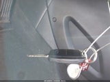 Miniaturka zdjęcia 11