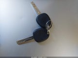 Miniaturka zdjęcia 11