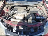 Miniaturka zdjęcia 10