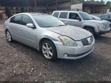 Nissan Maxima 3.5 Se 1N4BA41E56C838285 снимка