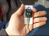 Miniaturka zdjęcia 11