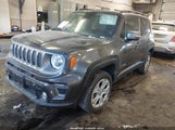 Jeep Renegade Limited 4X4 ZACNJBD13KPJ94387 fotografie