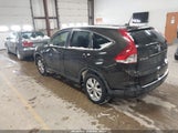 Miniaturka zdjęcia 3