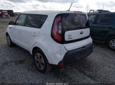 Miniaturka zdjęcia 3