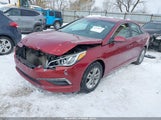 Hyundai Sonata Se 5NPE24AF7FH023684 снимка