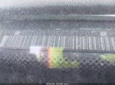 Miniaturka zdjęcia 9