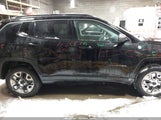 Jeep Compass Trailhawk 4X4 3C4NJDDB9JT207299 снимка
