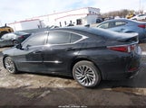 Lexus Es 350 Ultra Luxury 58AFZ1B1XNU127208 fotografie